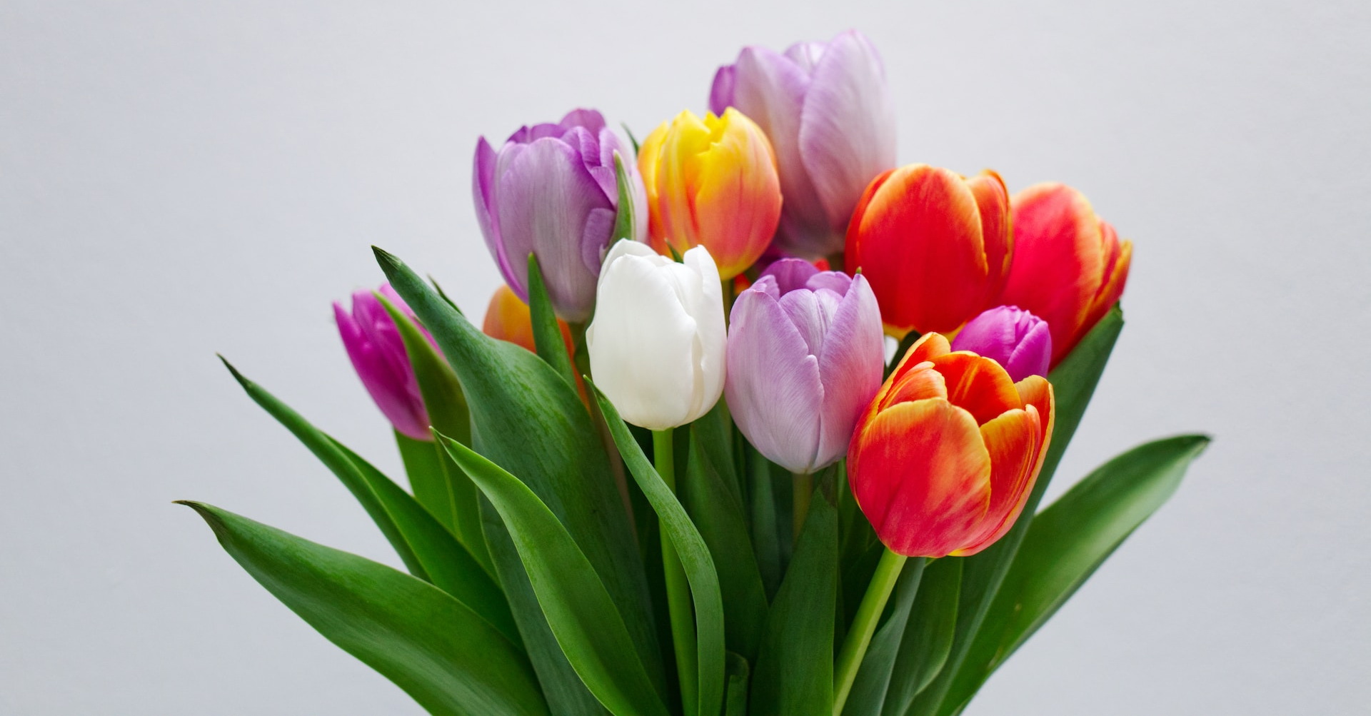 Тюльпаны маме