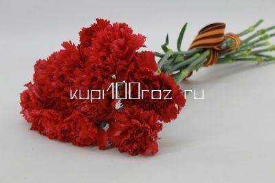 Гвоздика красная