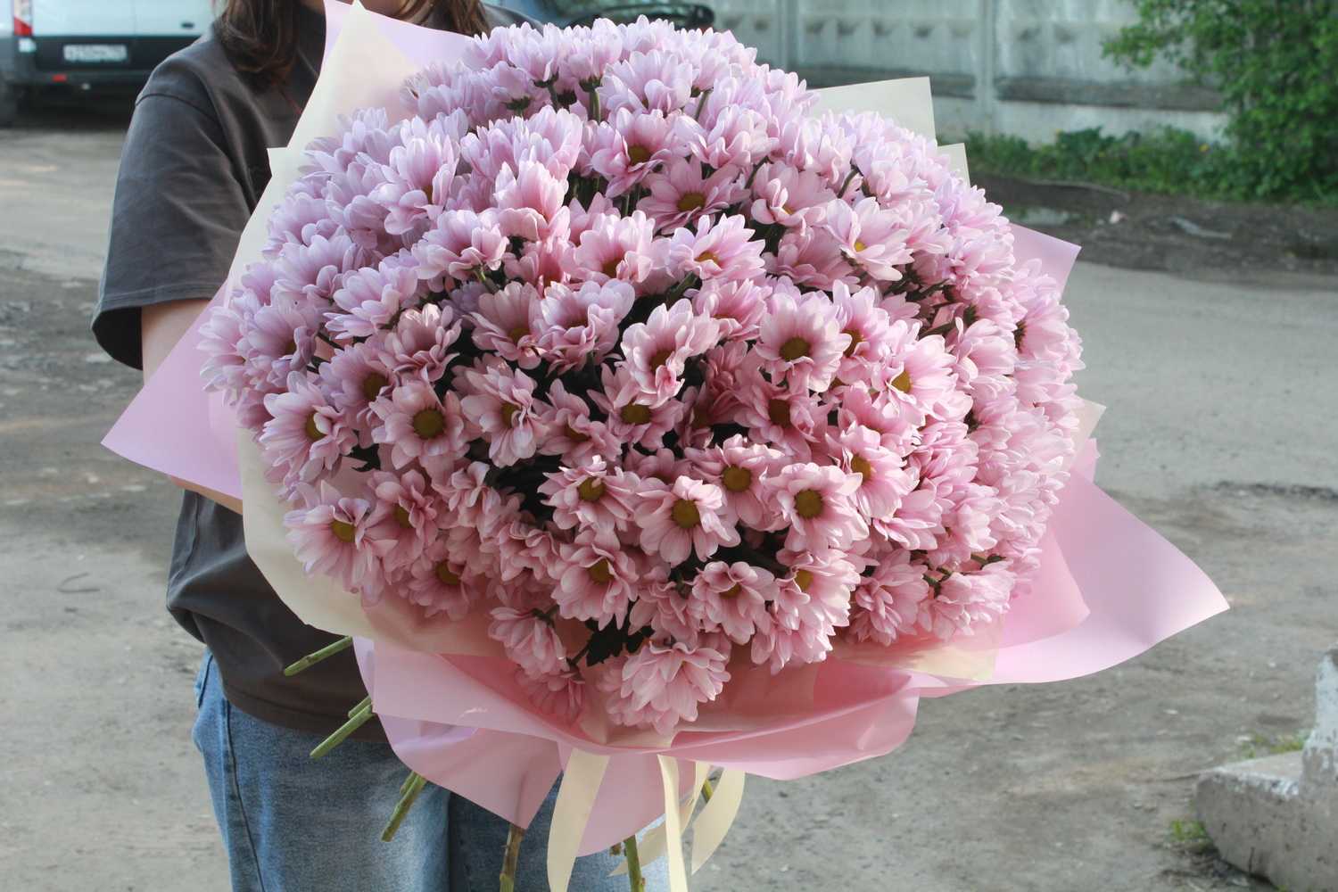 Акция! Дарим скидку 40% на букет из 25 кустовых хризантем Баккарди!