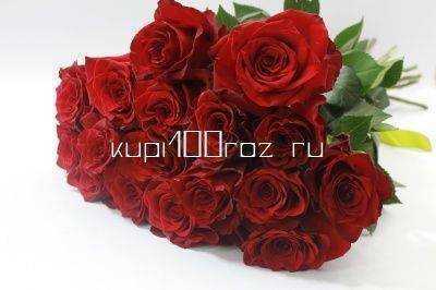 Букет из 17 бордовых роз