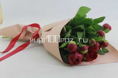Букет  из 9 бордовых пионов