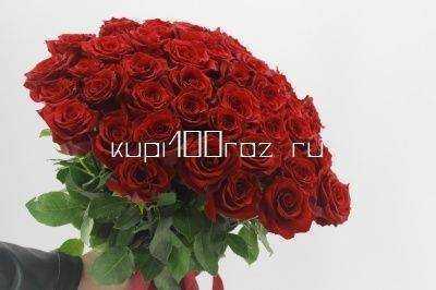 Букет из 51 красной розы Эквадор